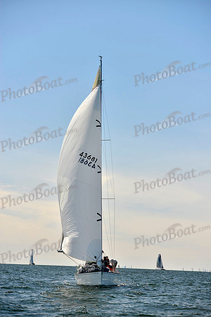 2017 Vineyard Race A_1270