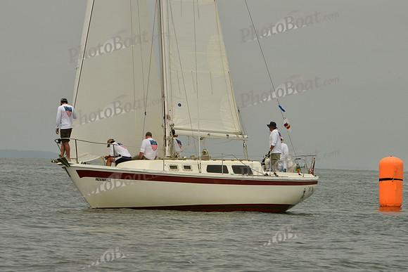 2016 Southern Bay Race Week E_0321