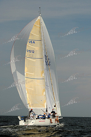 2013 Vineyard Race A 1236