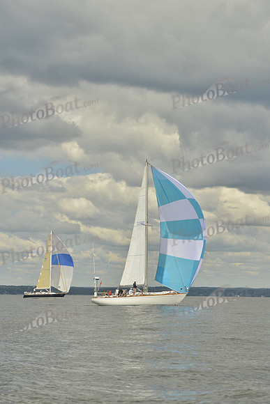 2016 Vineyard Race A_1010