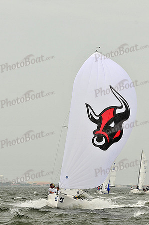 2014 J70 Winter Series F 263