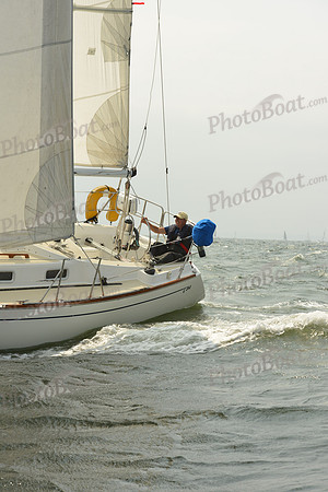 2015 Vineyard Race A 375