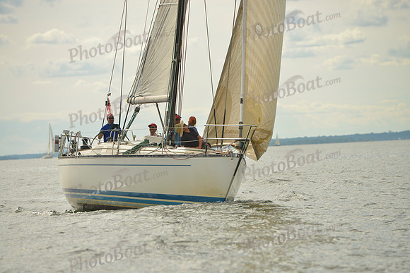 2016 Vineyard Race A_1796