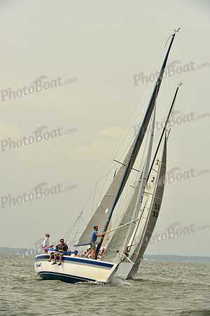 2016 Southern Bay Race Week A_0278