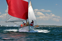 2012 Newport Bermuda 312