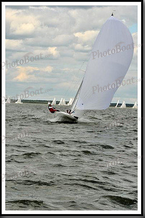 proof_2010_EScows_B 484