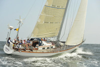 2015 Vineyard Race A 1686