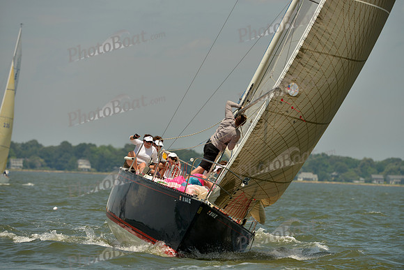 2016 Southern Bay Race Week F_1260