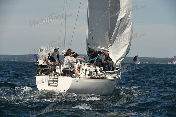 2016 Chester Race Week A_0266