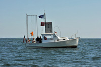 2010 Leukemia Cup B 733