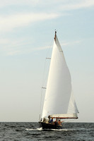 2013 Vineyard Race A 607