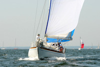 2012 Vineyard Race A 302