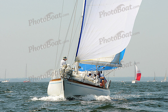 2012 Vineyard Race A 302