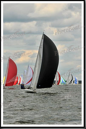 proof_2010_EScows_B 566