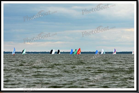 proof_2010_EScows_C 100