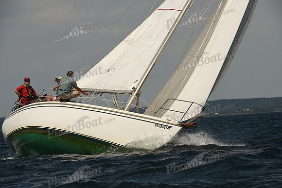 2016 Chester Race Week A_0950
