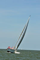 2013 Southern Bay Race Week D 977