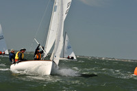 2012 Thistle Midwinters B 585