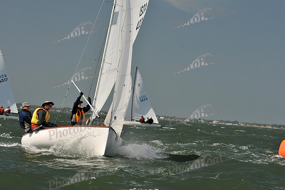 2012 Thistle Midwinters B 585