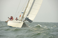2015 Vineyard Race A 595