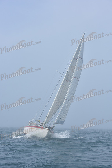 2022 Newport Bermuda_1608