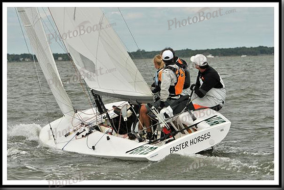 proof_2010_EScows_A 981