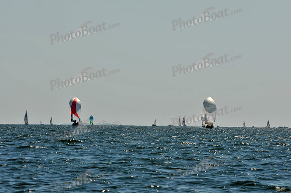 2010 Leukemia Cup B 713