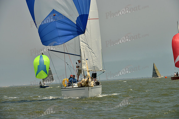 2016 Southern Bay Race Week A_1647