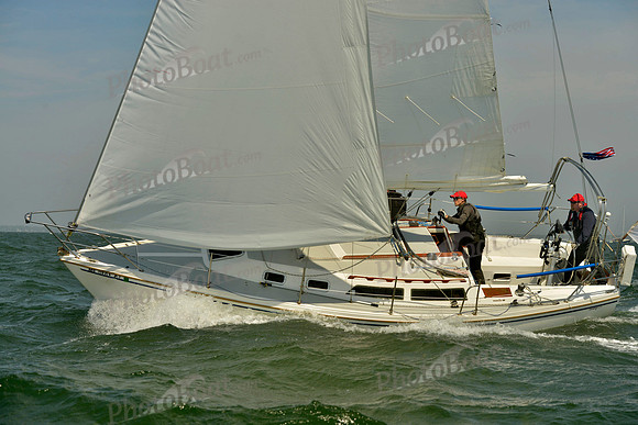 2018 Figawi_0231