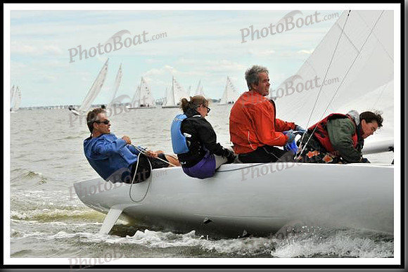 proof_2010_EScows_A 1253