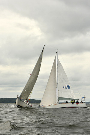2018 Vineyard Race A_0768