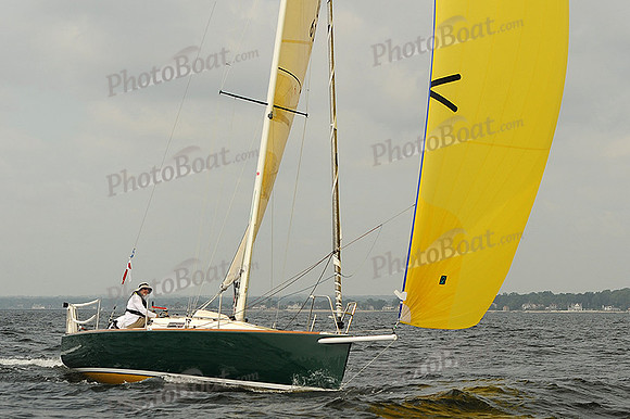 2013 Vineyard Race A 247