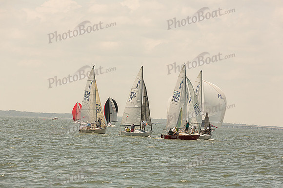 DBP_7538