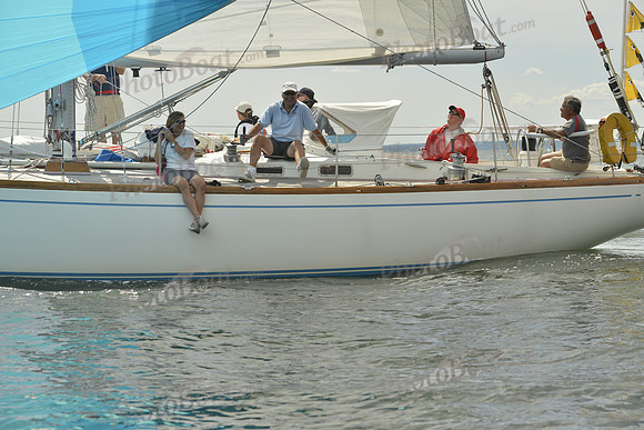 2016 Vineyard Race A_1000