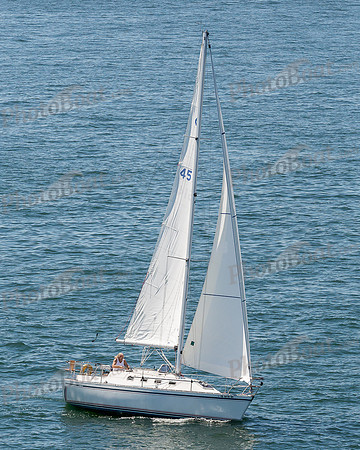 DBP_1557