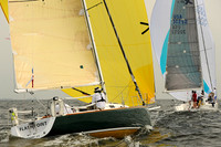 2013 Vineyard Race A 256