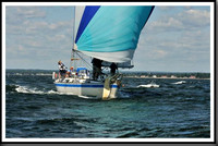 proof_2010_Vineyard_Race_0546