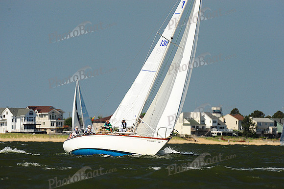 2014 Southern Bay Race Week E 290