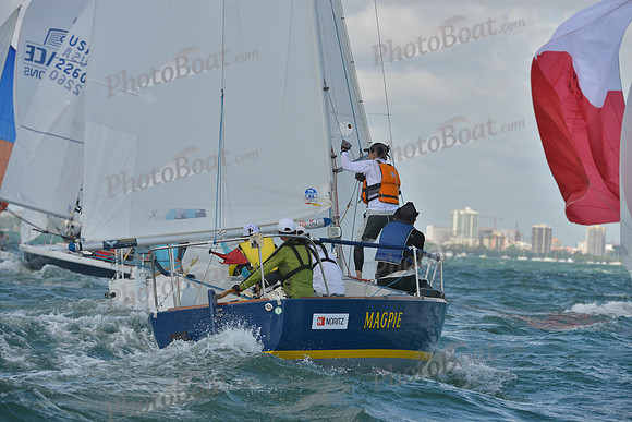 2019 J24 Worlds L_0565