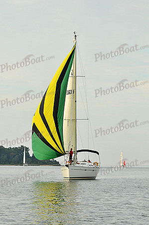 2013 Gov Cup C 511