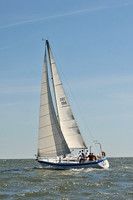 2014 Southern Bay Race Week D 375