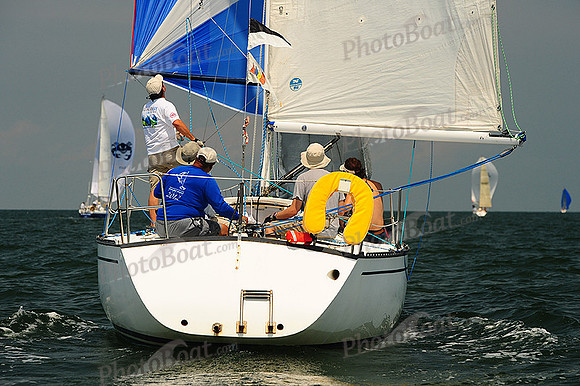 2014 Cape Charles Cup A 799