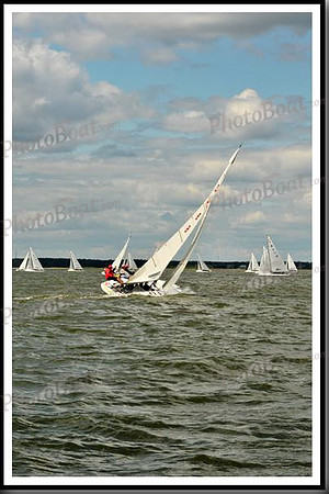proof_2010_EScows_B 457