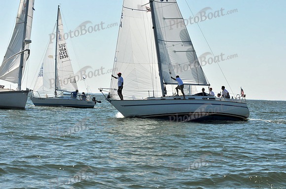 2010 Leukemia Cup 495