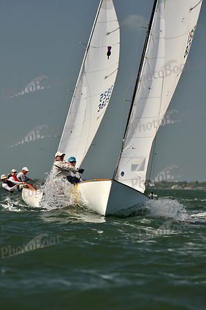 2012 Thistle Midwinters C 216