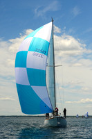2014 Newport Bermuda A 310