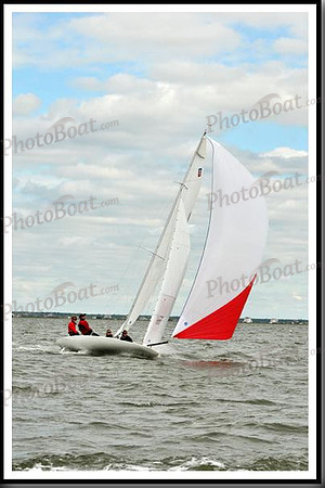 proof_2010_EScows_A 339