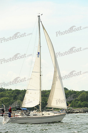 2014 NYYC Race Week A 622