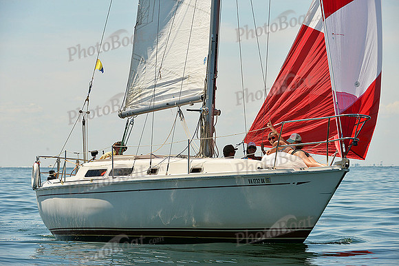 2015 Cape Charles Cup A 538