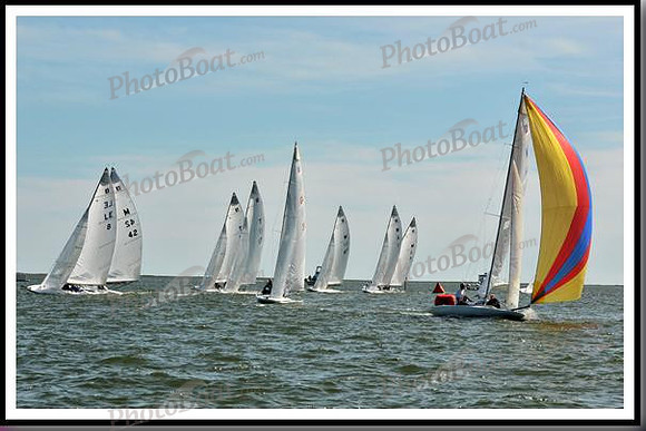 proof_2010_EScows_E 1279